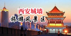 黄色网站日b弄女人中国陕西-西安城墙旅游风景区
